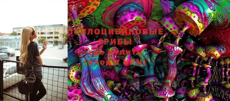 продажа наркотиков  Баймак  Галлюциногенные грибы Cubensis 